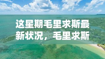 毛里求斯本周最新状况概览与最新发展动态分析