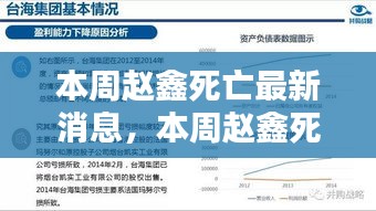 赵鑫死亡最新消息，深度探究与案例分析本周更新揭秘