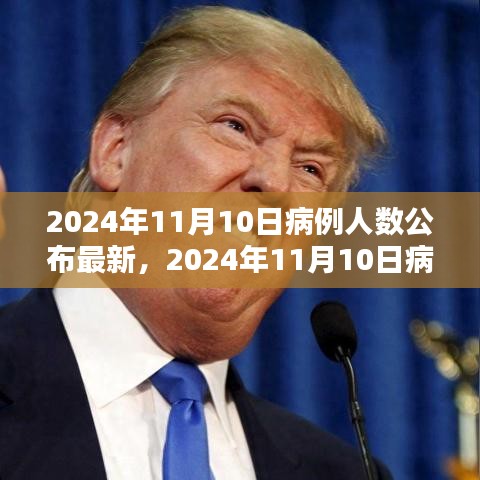 全球疫情最新动态，深度解析2024年11月病例人数及全球疫情状况