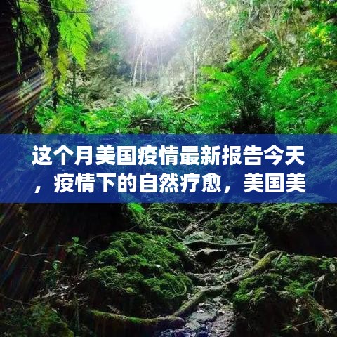 美国疫情下的自然疗愈与心灵之旅，最新报告揭示美景新探历程