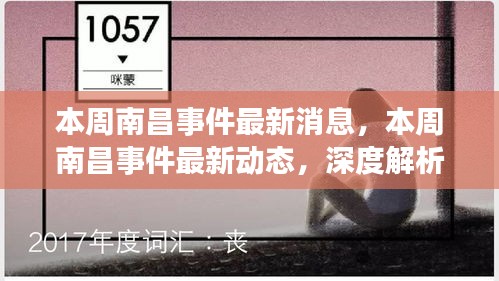 南昌事件最新进展与深度解析，本周动态及影响分析