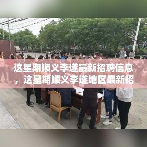 顺义李遂地区最新招聘信息全解析及本周招聘动态概览