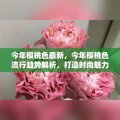 今年樱桃色大热，流行趋势解析与时尚魅力打造指南