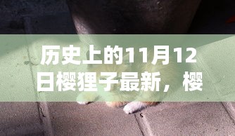 革新科技重塑生活体验，樱狸子最新高科技产品与历史上的11月12日回顾