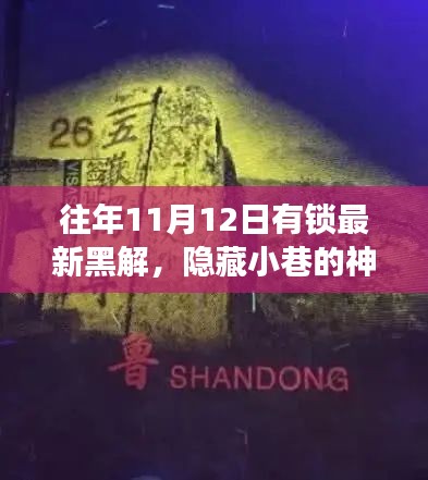 揭秘往年11月12日最新黑解背后的故事，神秘小巷中的独特小店与隐藏的黑解之门