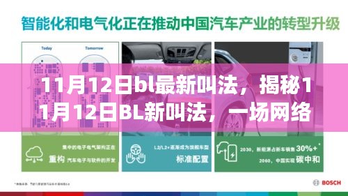 揭秘，网络热词新动向——11月12日BL最新叫法探索之旅