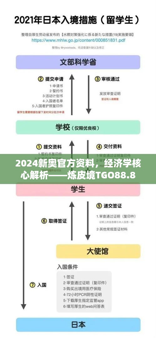 2024新奥官方资料，经济学核心解析——炼皮境TGO88.8