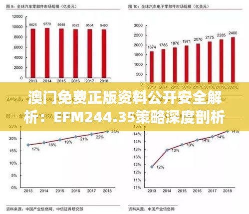 澳门免费正版资料公开安全解析：EFM244.35策略深度剖析