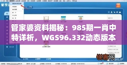 管家婆资料揭秘：985期一肖中特详析，WGS96.332动态版本解读