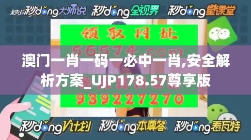 澳门一肖一码一必中一肖,安全解析方案_UJP178.57尊享版