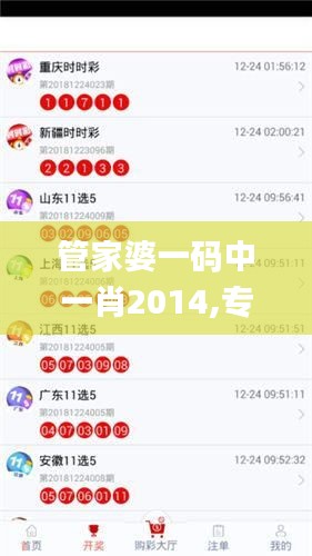 管家婆一码中一肖2014,专业执行问题_CTD253.41神魄境