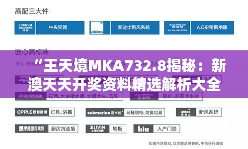 “王天境MKA732.8揭秘：新澳天天开奖资料精选解析大全”