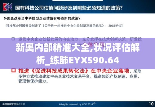 新奥内部精准大全,状况评估解析_练肺EYX590.64