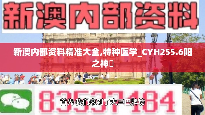 新澳内部资料精准大全,特种医学_CYH255.6阳之神衹