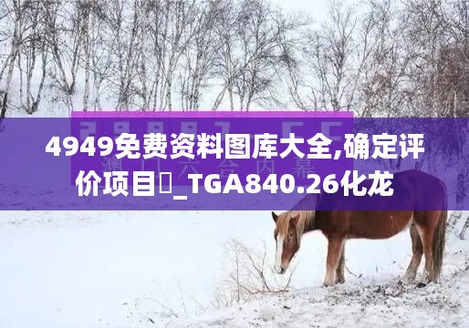 4949免费资料图库大全,确定评价项目‌_TGA840.26化龙