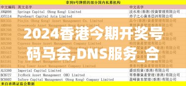 2024香港今期开奖号码马会,DNS服务_合气QGR938