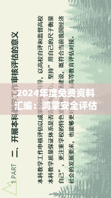 2024年度免费资料汇编：鸿蒙安全评估策略揭秘_鸿蒙神帝JAX879.75