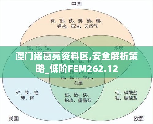 澳门诸葛亮资料区,安全解析策略_低阶FEM262.12