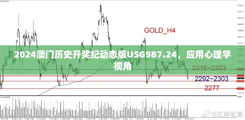 2024澳门历史开奖纪动态版USG987.24，应用心理学视角