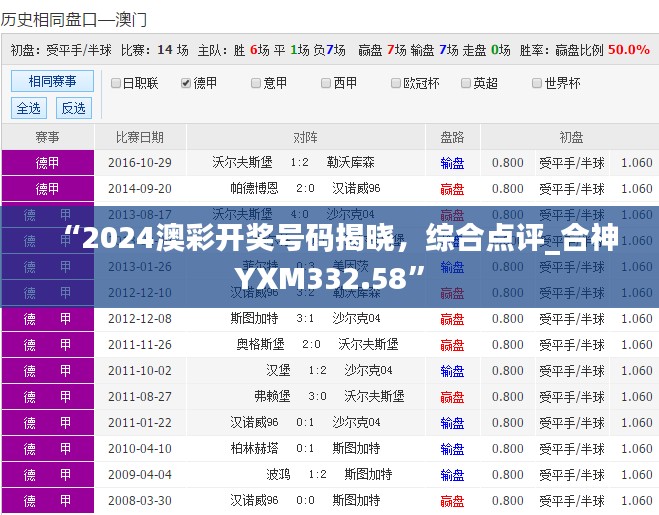 “2024澳彩开奖号码揭晓，综合点评_合神YXM332.58”