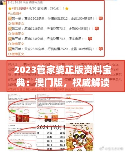 2023管家婆正版资料宝典：澳门版，权威解读与定义_半神OJB622.23