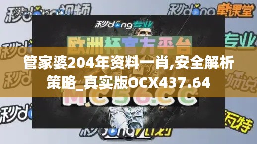 管家婆204年资料一肖,安全解析策略_真实版OCX437.64