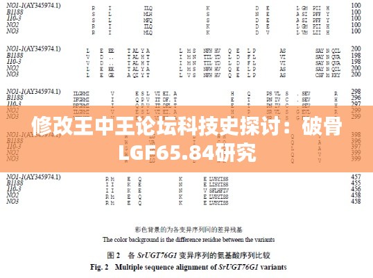 修改王中王论坛科技史探讨：破骨LGF65.84研究