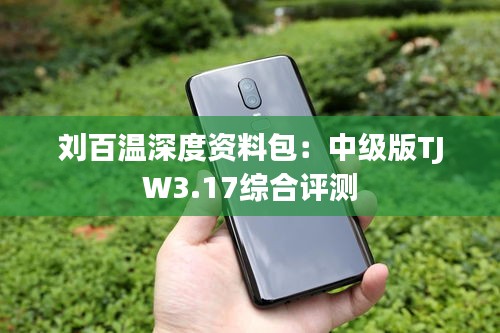 刘百温深度资料包：中级版TJW3.17综合评测