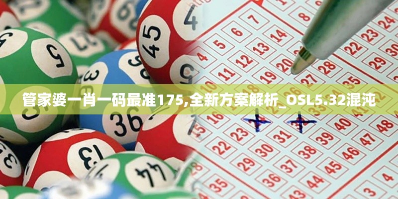 管家婆一肖一码最准175,全新方案解析_OSL5.32混沌