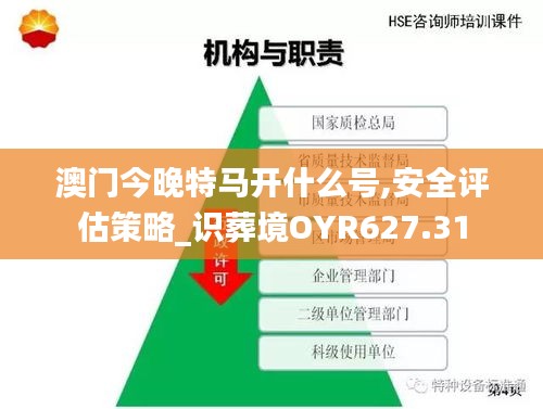 澳门今晚特马开什么号,安全评估策略_识葬境OYR627.31