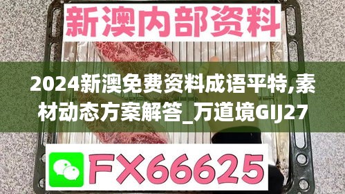 2024新澳免费资料成语平特,素材动态方案解答_万道境GIJ277.32