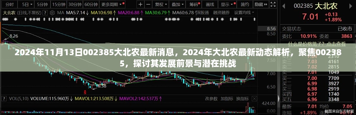 2024年大北农最新动态解析，探讨发展前景与潜在挑战