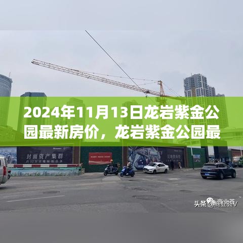 2024年龙岩紫金公园最新房价指南，获取与解读信息的全面教程