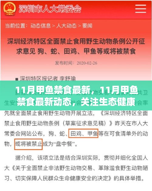 关注生态健康，揭秘11月甲鱼禁食最新动态，共筑生态平衡