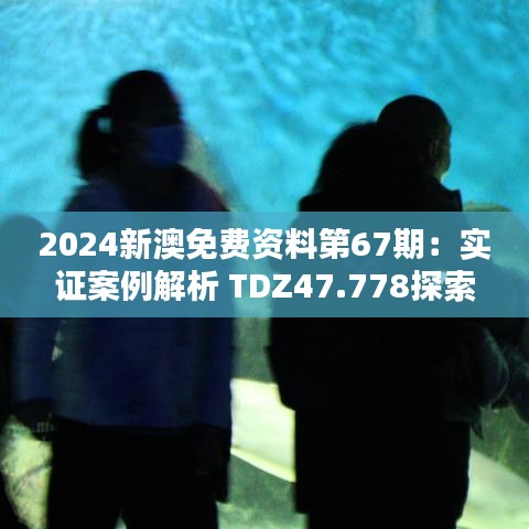 2024新澳免费资料第67期：实证案例解析 TDZ47.778探索篇