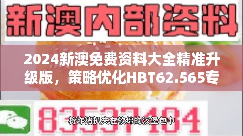 2024新澳免费资料大全精准升级版，策略优化HBT62.565专属定制