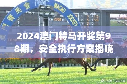 2024澳门特马开奖第98期，安全执行方案揭晓_WGI77.680掌上宝