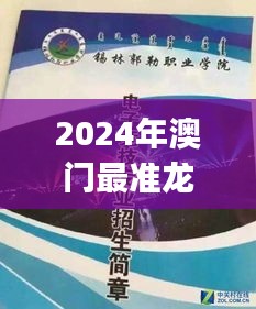 2024年澳门最准龙门LRJ94.373创意版：专业解析与深度调查