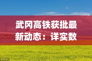 武冈高铁获批最新动态：详实数据揭示方案细节_XDE47.783升级版