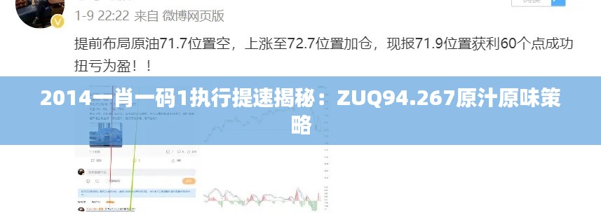 2014一肖一码1执行提速揭秘：ZUQ94.267原汁原味策略