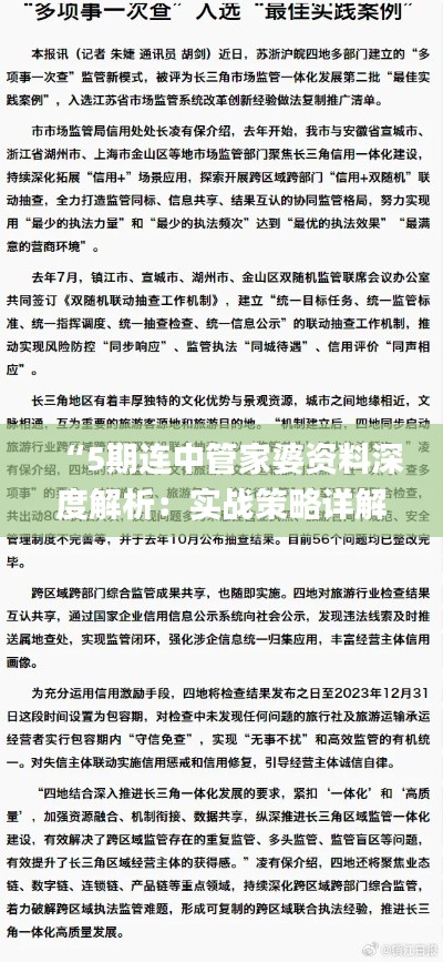 “5期连中管家婆资料深度解析：实战策略详解_GEF77.181雅致版”