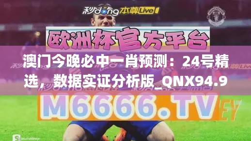 澳门今晚必中一肖预测：24号精选，数据实证分析版_QNX94.958美学版