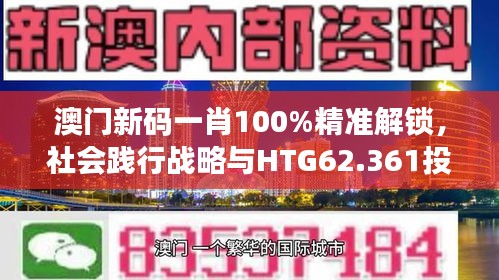 澳门新码一肖100%精准解锁，社会践行战略与HTG62.361投影新版本