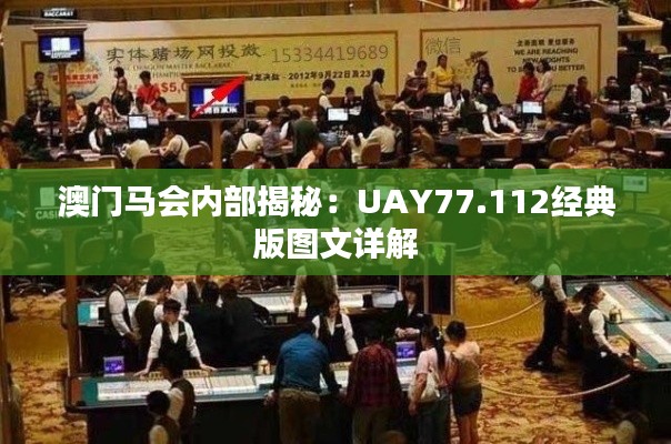 澳门马会内部揭秘：UAY77.112经典版图文详解