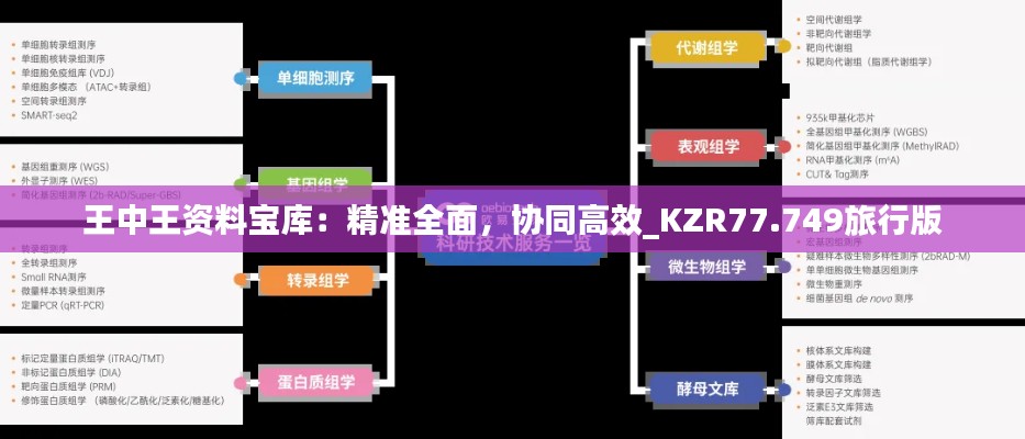 王中王资料宝库：精准全面，协同高效_KZR77.749旅行版