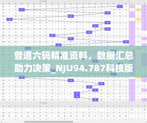 曾道六码精准资料，数据汇总助力决策_NJU94.787科技版