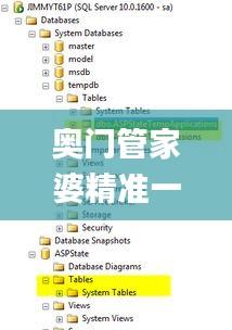 奥门管家婆精准一码，安全护航_PDB62.382稳定版