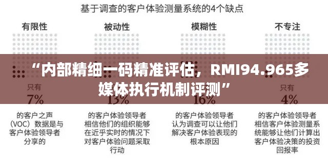 “内部精细一码精准评估，RMI94.965多媒体执行机制评测”