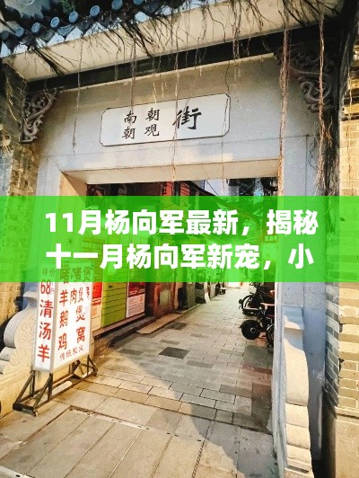 揭秘杨向军十一月新宠，小巷深处的独特风味宝藏