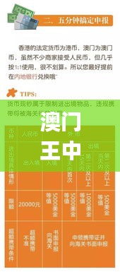 澳门王中王必中秘籍，专家深度解析_TLG61.107独家揭秘